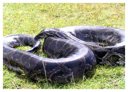 Какие самые тяжёлые игры