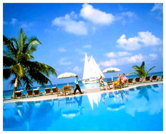 Какой лучше взять Редми